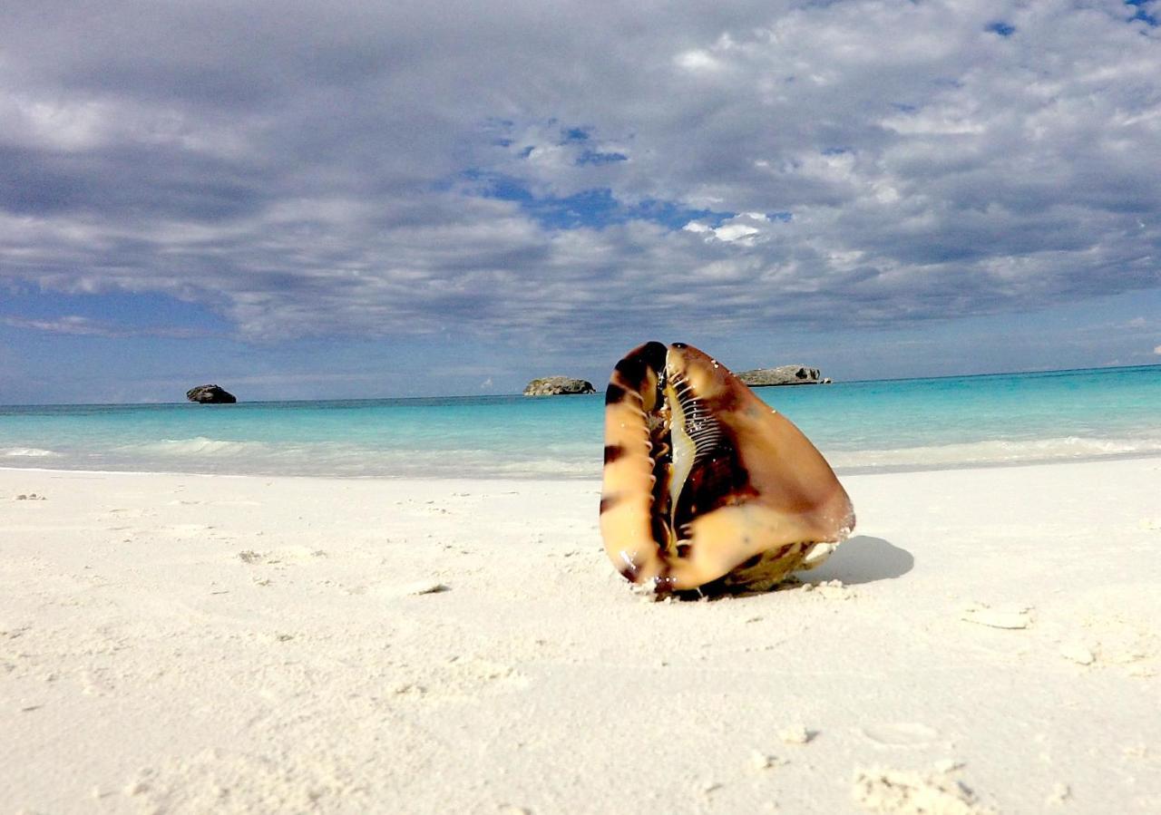 ジョージ・タウンTurtles Nest Bahamasアパートメント エクステリア 写真