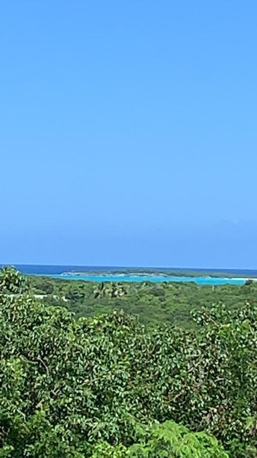 ジョージ・タウンTurtles Nest Bahamasアパートメント エクステリア 写真